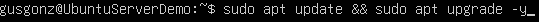Terminal showing apt update and upgrade commands